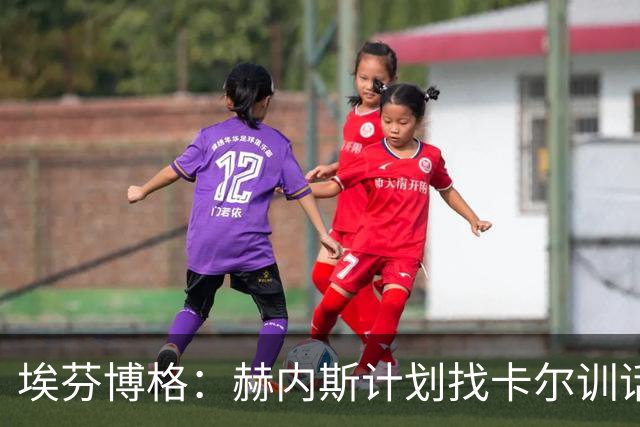 埃芬博格：赫内斯计划找卡尔训话是他的行事风格，后者得接受这点
