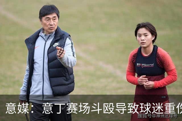 意媒：意丁赛场斗殴导致球迷重伤，11人被处5至10年观赛禁令