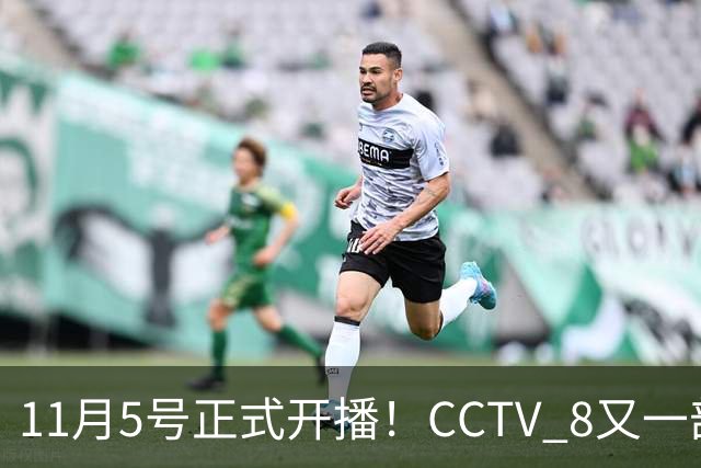 11月5号正式开播！CCTV 8又一部好剧来袭，主角配角我都很喜欢